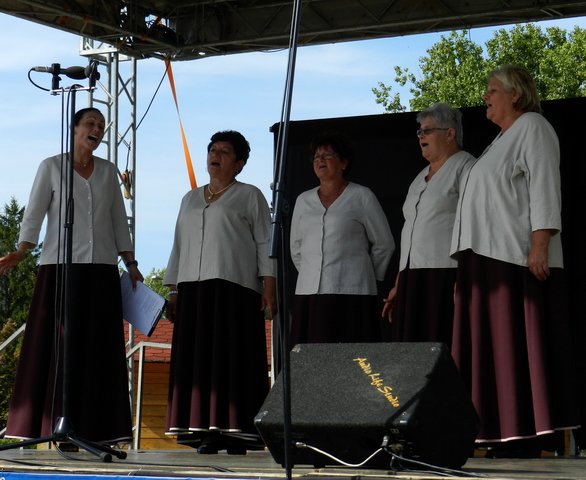 Megyei Közfoglalkoztatási Kiállítás 110